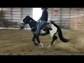 Lot 58