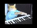 Lagu Cat Piano  Audition -  DJ Switch It Up - Pull Up (Original Mix)
