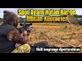 Download Lagu Spot 🛑Ayam Hutan🛑Range 🔥Ribuan Kilometer🔥