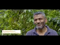 Beyond the Beans The Voices of Sri Lankan Specialty Coffee - Sulaiman Rizwan