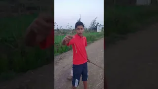 يا جماعه انا اتمشيت تاني وقابلنا كلاب الجزئ الثاني دندنها