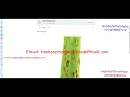 Paddy Leaf Disease Detection Using Image Processing Python Project With Source Code Paddy Disease