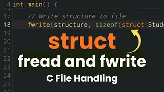 Write and Read Structure Data to a Binary File in C Programming using fwrite and fread