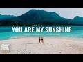 Download Lagu You Are My Sunshine - Music Travel Relax (Acoustic Instrumental + Nature Sounds) Relaxing \u0026 Peaceful