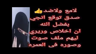 لامع ولاضد حصري اسماء قنوات ليهم ملف بورنو  فالح ناصر اخلاص ريري ليهم ملف صوت صوره في عمره ودورتريند دندنها