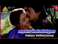 Download Lagu Rasa Magan Movie Songs | Vaikasi Vellikizhamai Video Song | Prashanth | Sivaranjani | Ilaiyaraaja