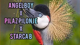 Nkweenyi Angelboy X Pilaz Pilonje X Starca B 