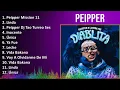 PEIPPER 2024 MIX Best Songs - Peipper Mission 11, Linda, Peipper Dj Tao Turreo Sessions #15, Ino...