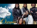 Download Lagu Octopus - Bring It on Home to Me