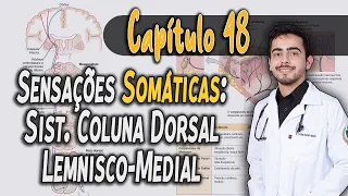 Fisiologia - Sensações Somáticas I: Sensações de Tato e Posição Corporal (Capítulo 48) PT 1 │ GUYTON