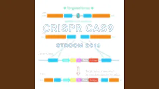 Crispr CAS-9