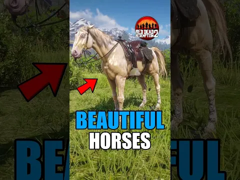 Top 5 Most Beautiful Horses in RDR2 ❤️🐎