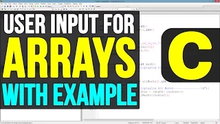 Array User Input in C Programming Language Tutorials
