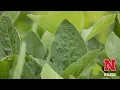 Exploring Nitrogen Fixation
