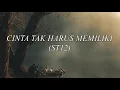 Download Lagu ST12 - Cinta Tak Harus Memiliki (LIRIK)