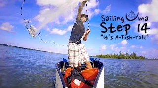 It’s A-Fish-Yall ! — Sailing Uma [Step 14]