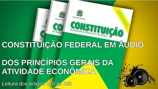 DOS PRINCÍPIOS GERAIS DA ATIVIDADE ECONÔMICA
