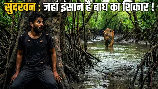 सुंदरबन का शापित जंगल: जहाँ बाघों के साथ भटकती हैं आत्माएँ || world's largest mangrove forest