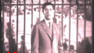 وانت عنى بعيد   محرم فؤاد دندنها