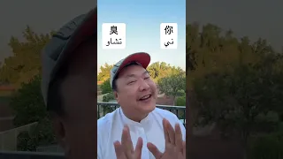 ريحتك مره خايسة بالصيني    الامارات  السعودية  العراق  عمان  الشعب الصيني ماله حل   دندنها