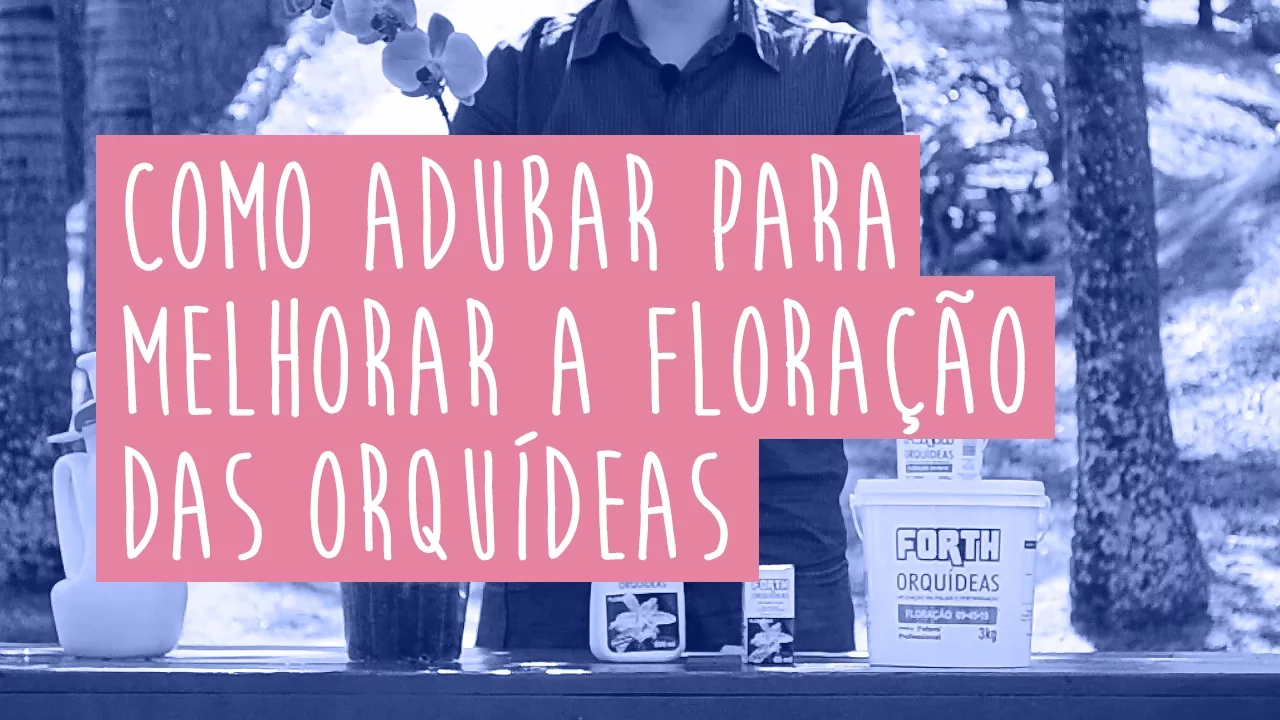 ADUBAÇÃO PARA FLORAÇÃO DA ORQUÍDEA