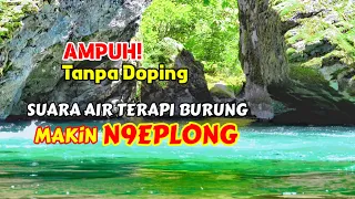 terapi air ampuh tanpa doping suara air terapi burung makin ngeplong