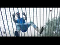 Download Lagu Dream$ on Dream$ [Official Music video]-GHALIL EIN$TEIN 🔥