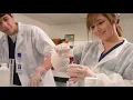 Faculty Q A - Mr Jesse Diaz Pharmacy Technology Instructor