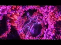The Passage - 12 Hours