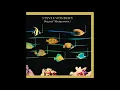 Stevie Wonder - Do I Do (2000 Remastered)