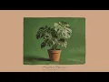 Monstera Deliciosa | Seb Wildblood :~^