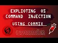 Exploiting Os Injection and Uploading Shell Using Commix