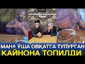 Lagu МАНА ЎША ОВҚАТГА ТУФЛАГАН ҚАЙНОНАНИ ТОПИШИБДИ