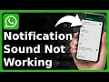 Download Lagu Hoe je het probleem met het niet-werkende WhatsApp-meldingsgeluid op Android kunt oplossen