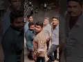 Download Lagu Malaysia Gangs ...😎#trending #viral #shorts #mass #mr_agr #gangs #malaysia