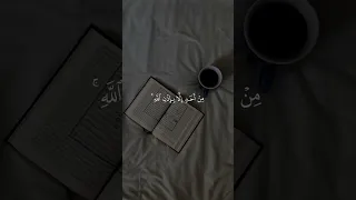 واتبعوا ما تتلوا الشياطين على ملك سليمان تلاوة خاشعة للقارئ مشاري راشد العفاسي  واتبعوا ما تتلوا الشياطين على ملك سليمان تلاوة خاشعة للقارئ مشاري راشد العفاسي