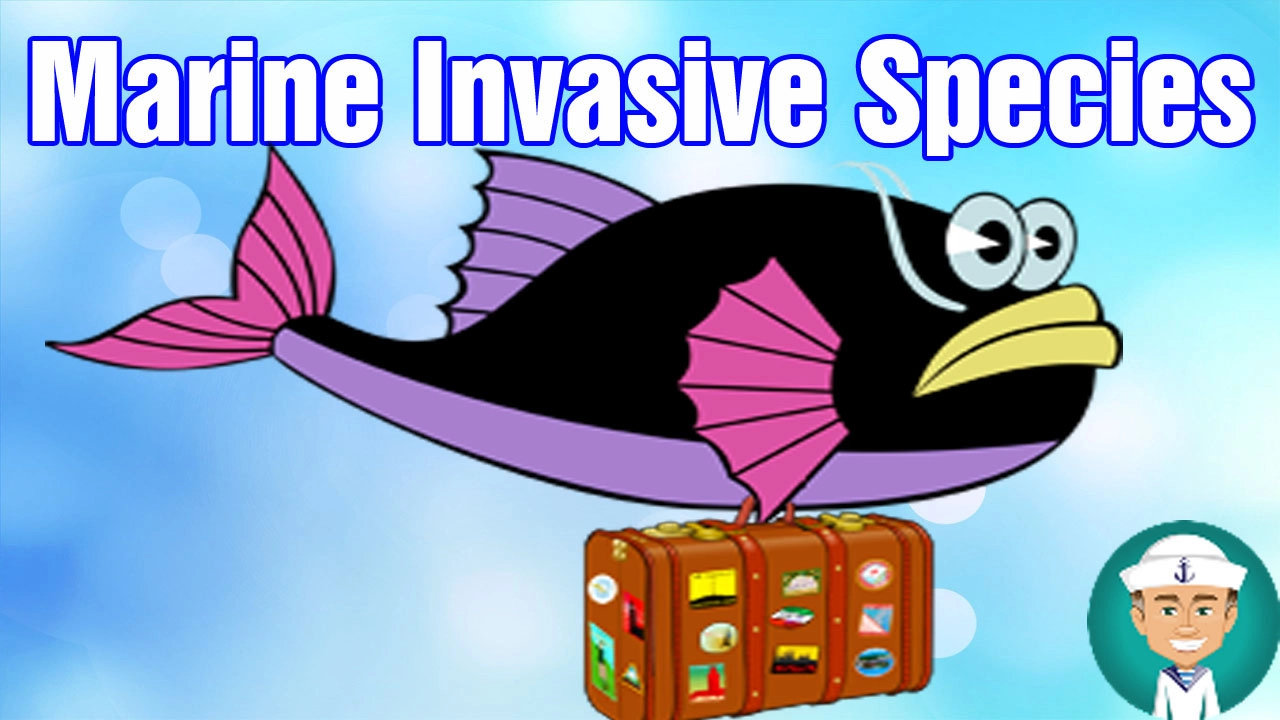 What is an Invasive Species? Environmental Threat From Marine Invasive Species