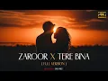 Download Lagu Zaroor X Tere Bina - Full Version (4k)