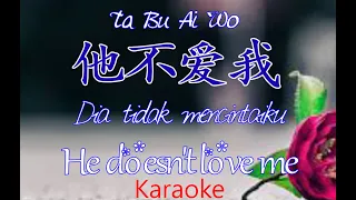 Download Ta Bu Ai Wo - 他不爱我 - Dia tidak mencintaiku - Karaoke - Terjemahan - Lyrics - Lirik MP3