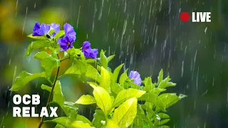 Rain Sounds & Relaxing Music 24/7 - Piano Music, Sleep, Study, Yoga, Stress Relief, Meditation