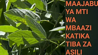 fahamu kazi za mbaazi