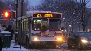 B17 bus announcements to Canarsie-Seaview Av AutomotiveTaurus needs to see this