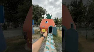 بيت سبونچ بوب في الحقيقه 