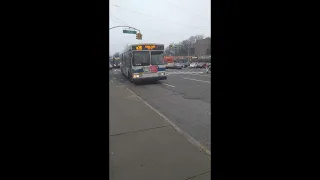 Queens New York to Floral Park New York - Q36 Bus Route