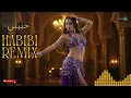 Download Lagu Habibi Remix – Arabic Music 2025 (حبيبي) Global Hit 🌟