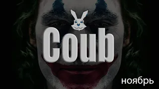 Это просто жесть Coub лучшие за ноябрь 