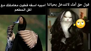 تحدي الملل | بوستات كوميديا ونكت ترفيهية مضحكة... الجزء 814