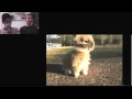 Don t Laugh Gifs with Sound Vinh vs Kenny