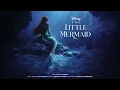 Kiss the Girl (From "The Little Mermaid"/Audio Only)