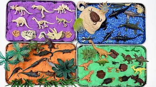 4 Jurassic World With Dinosaurs! Ocean dinos, Dinosaur bones, Dino puzzle, tyrannosaurus, Mosasaurus